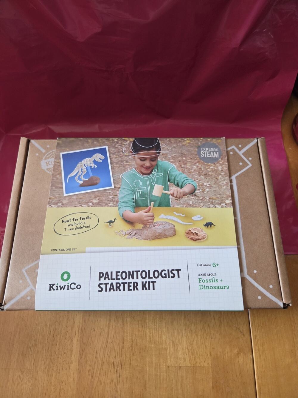 KiwiCo Paleontologist Starter Kit Dinosaur Fossil Dig Kit Toy Kids Educational